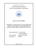 Ảnh hưởng của một số yếu tố lên quá trình sinh trưởng và phát triển của lan thạch hộc tía (dendrobium officinale kimura et migo) nuôi cấy in vitro 