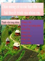 Bài thuyết trình nhóm 4 Bình luận việc đào tạo Luật ở Anh, những kinh nghiệm có thể tiếp thu và ứng dụng vào Việt Nam.