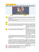 PHAN BIET Ân xá DAI XA  TU THU VA DAU THU  Sự khác nhau giữa phiên tòa dân sự và phiên tòa hình sự