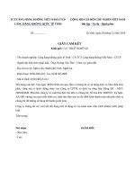 giay cam ket ko su dung hoa don