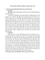 TÍN NGƯỠNG THỜ mẫu TRONG văn hóa VIỆT NAM