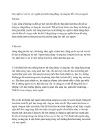 Suy nghĩ về vai trò và ý nghĩa của tính năng động và sáng tạo đối với con người 