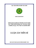 Đánh giá đa dạng di truyền và xây dựng quy trình nhân giống cây Trà hoa vàng (Camellia spp.)thu thập tại Quảng Ninh