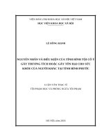 Nguyên nhân và điều kiện của tình hình tội cố ý gây thương tích hoặc gây tổn hại cho sức khỏe của người khác tại tỉnh bình phước 