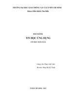 BAI GIANG MON TIN HOC UNG DUNG TIN HOC HANG HAI