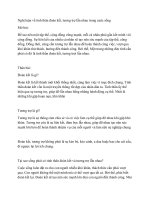 Nghị luận về tinh thân đoàn kết 