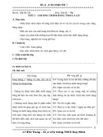 GIÁO ÁN TIN HỌC 7 CẢ NĂM CHỈ IN