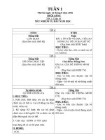 TUẦN 1  GIÁO ÁN LỚP GHÉP 1+3 CHUẨN KIẾN THỨC KĨ NANG NĂM HỌC 20162017