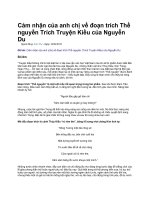 Cảm nhận của anh chị về đoạn trích thề nguyền trích truyện kiều của nguyễn du