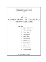 Cấu trúc tổ chức của tập đoàn nike (lĩnh vực sản xuất) 