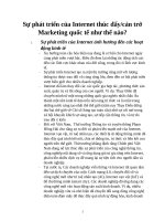 Sự phát triển của internet thúc đẩy marketing quốc tế như thế nào 