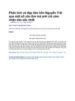 Phân tích vẻ đẹp tâm hồn nguyễn trãi qua một số câu thơ mà anh chị cảm nhận sâu sắc nhất