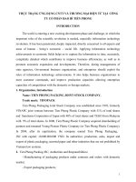 THỰC TRẠNG ỨNG DỤNG CNTT và THƯƠNG mại điện tử tại  CÔNG TY cổ PHẦN BAO bì TIỀN PHONG e 