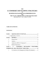 KẾ HOẠCH PHÁT TRIỂN THƯƠNG mại điện tử TRONG PHÁT TRIỂN hệ THỐNG QUẢN lý  HIỆU QUẢ KINH DOANH  e 