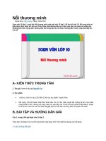 Nỗi thương mình