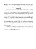 Báo cáo hiện trạng và kế hoạch ứng dụng công nghệ thông tin trong quản lý và kinh doanh tại công ty tm giày da hải PHòng 