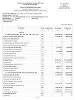 MẪU báo cáo tài CHÍNH