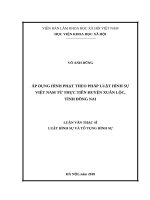 Áp dụng hình phạt theopháp luật hình sự việt nam từ thực tiễn huyện xuân lộc, tỉnh đồng nai 