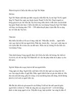 Phân tích giá trị chiếu cầu hiền của ngô thì nhậm 