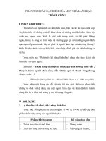 Phân tích các đặc điểm của một nhà lãnh đạo thành công 