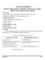 Giáo án Sinh học 9 bài 39: Thực hành tìm hiểu thành tựu chọn giống vật nuôi và cây trồng