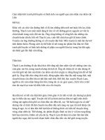 Cảm nhận bức tranh phố huyện và hình ảnh con người qua cảm nhận của nhân vật liên 