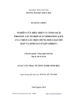 Nghiên cứu biểu hiện và tinh sạch protein tái tổ hợp glycoprotein (GP5) của virus gây hội chứng rối loạn hô hấp và sinh sản ở lợn (PRRSV) 