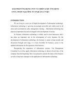 GIẢI PHÁP ỨNG DỤNG CNTT và CHIẾN lược ỨNG DỤNG CNTT, TM đt tại CÔNG TY CP QUẢN lý VIỆT e 
