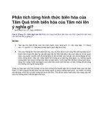 Phân tích từng hình thức biến hóa của tấm quá trình biến hóa của tấm nói lên ý nghĩa gì