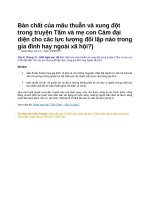 Bản chất của mâu thuẫn và xung đột trong truyện tấm và mẹ con cám đại diện cho các lực lượng đối lập nào trong gia đình hay ngoài xã hội