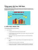 Tổng quan văn học việt nam