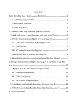 Chiến lược marketing quốc tế của viettel