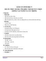 Giáo án Sinh học 9 bài 39: Thực hành tìm hiểu thành tựu chọn giống vật nuôi và cây trồng