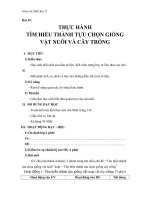 Giáo án Sinh học 9 bài 39: Thực hành tìm hiểu thành tựu chọn giống vật nuôi và cây trồng