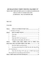 KẾ HOẠCH PHÁT TRIỂN THƯƠNG mại điện tử TRONG PHÁT TRIỂN hệ THỐNG QUẢN lý  HIỆU QUẢ KINH DOANH 
