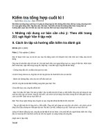 Kiểm tra tổng hợp cuối kì i ngữ văn 9