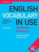 McCarthy M., O’Dell F.  English Vocabulary in Use. Elementary  2017