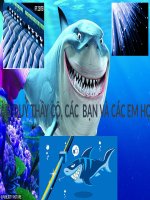 Giáo án điện tử bài phản xạ toàn phần 