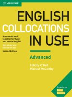 McCarthy Michael, ODell Felicity. English Collocations in Use Advanced  2017