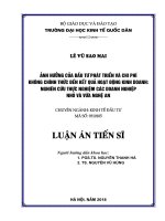 Ảnh hưởng của đầu tư phát triển và chi phí không chính thức đến kết quả hoạt động kinh doanh nghiên cứu thực nghiệm các DNNVV tại nghệ an