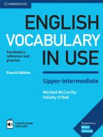 McCarthy M., O’Dell F.  English Vocabulary in Use. UpperIntermediate 2017
