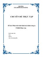 Chuyên đề tốt nghiệp phân tích tình hình tài chính công ty TNHH phúc lộc