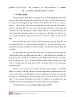 Phân tích chiến lược marketing sản phẩm của công ty hàng gia dụng quốc tế ICP 