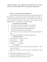 PHÂN TÍCH CHIẾN lược MARKETING sản PHẨM THỨC ăn CHĂN NUÔI của CÔNG TY MINH tâm và các đối THỦ CẠNH TRANH 