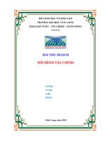 BÀI THU HOẠCH MÔ HÌNH TÀI CHÍNH 2