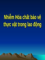 Nhiễm Hóa chất bảo vệ thực vật trong lao động