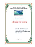 BÀI THU HOẠCH  MÔ HÌNH tài CHÍNH