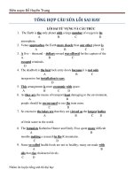 TỔNG hợp câu sửa lỗi SAI HAY 