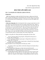 BÀI tập lớn môn HỆ THỐNG THÔNG TIN ĐỊA LÝ