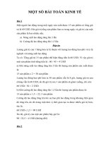 Bai tap toan kinh te chinh tri